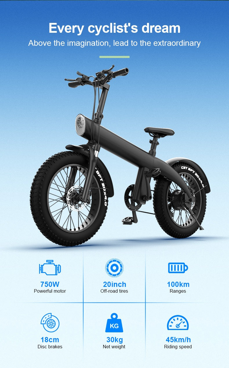 Q3 Electric Bike