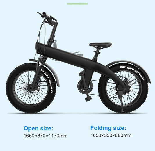 Q3 Electric Bike